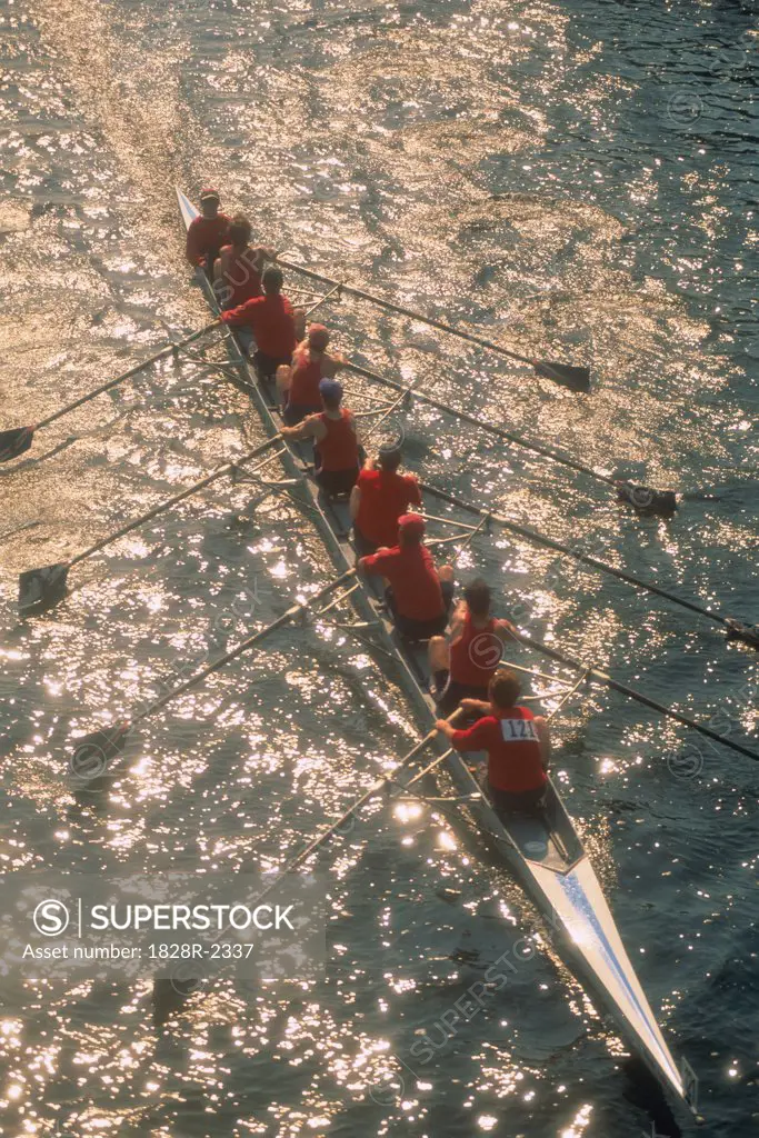 Overhead View of Men Rowing Trent Canal, Ontario, Canada   