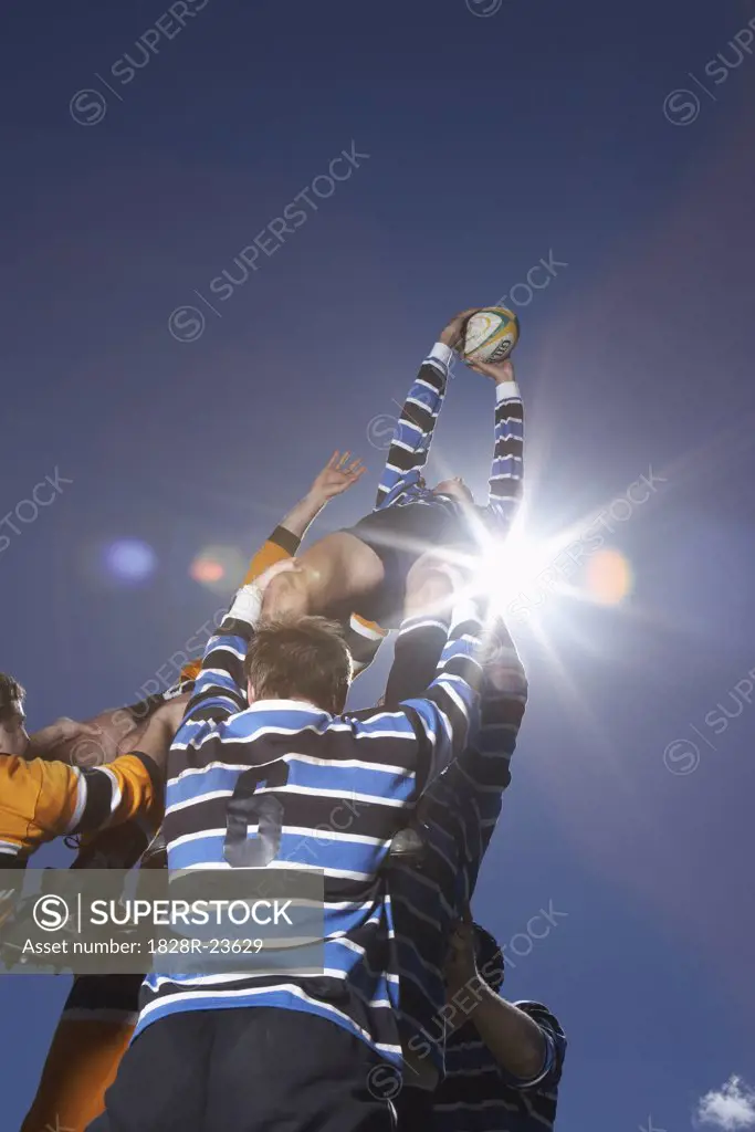Men Playing Rugby   