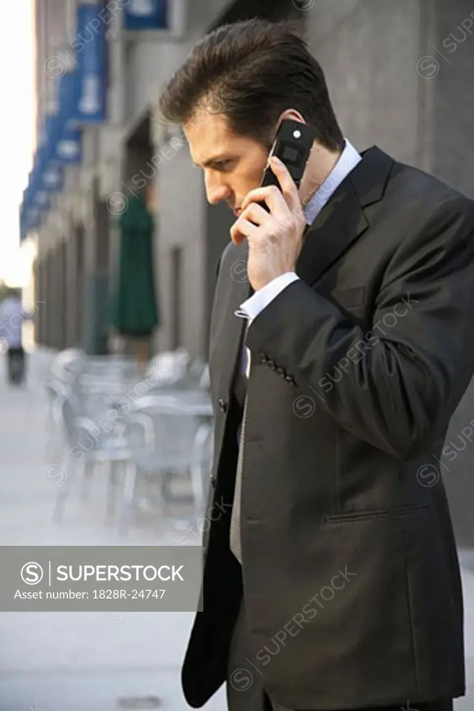 Businessman Using Cell Phone   