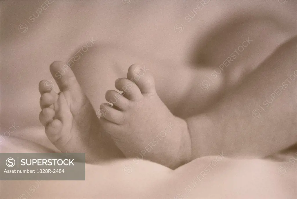Close-Up of Baby's Feet   