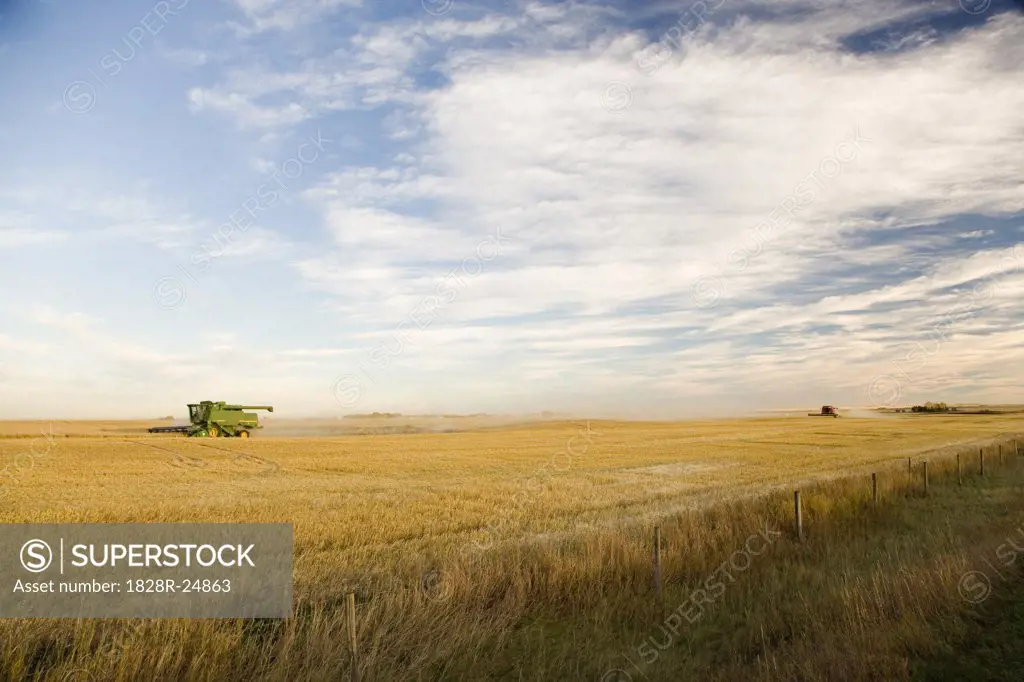 Combine Harvesting Grain Field, Southern Alberta, Canada   