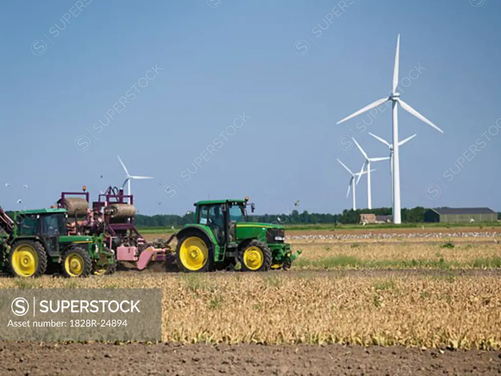 Wind Farm, Flevoland, Netherlands   