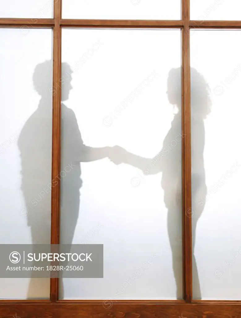 Silhouette of Business People Shaking Hands   