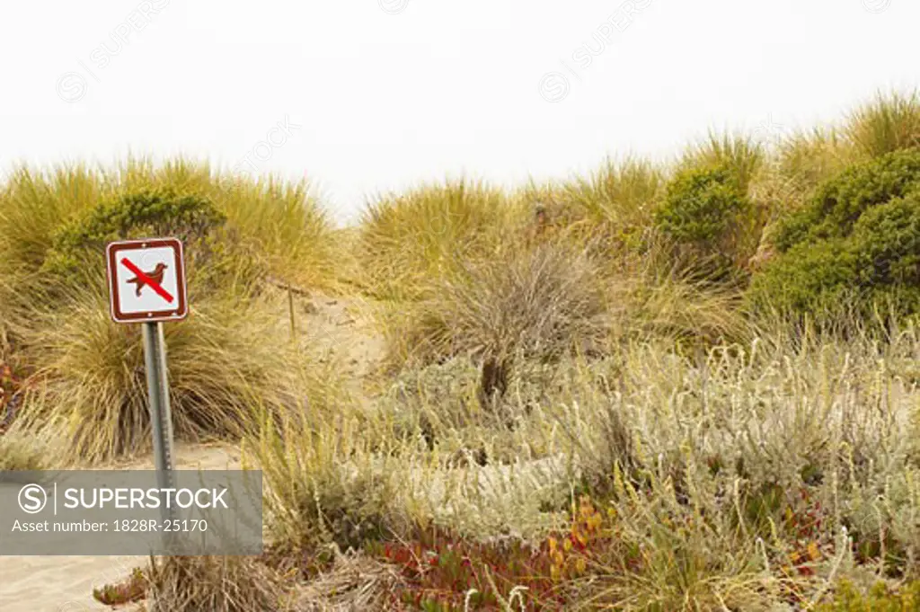 No Dogs Allowed Sign at Beach, Sonoma Coast, California, USA   