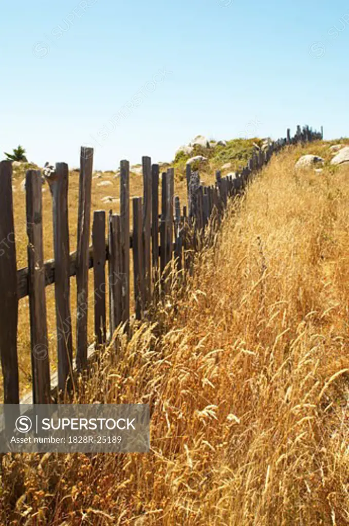 Fence, Mendocino Coast, California, USA   