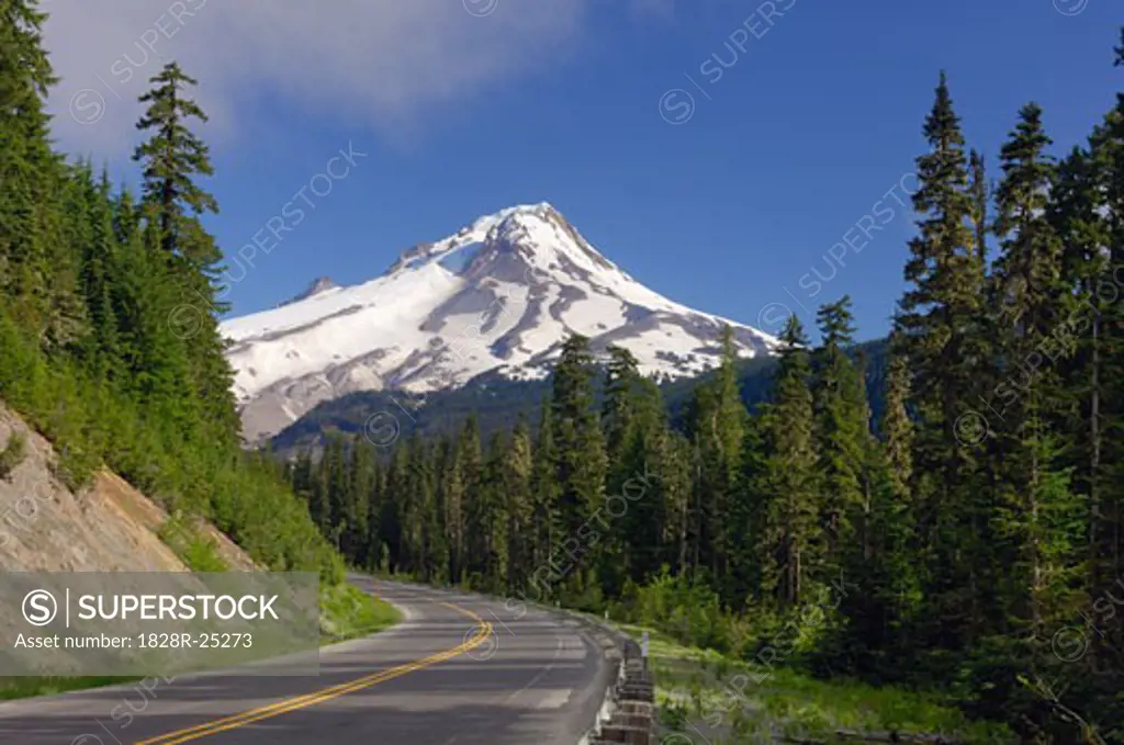 Road Through Forest and Mount Hood, Oregon, USA   