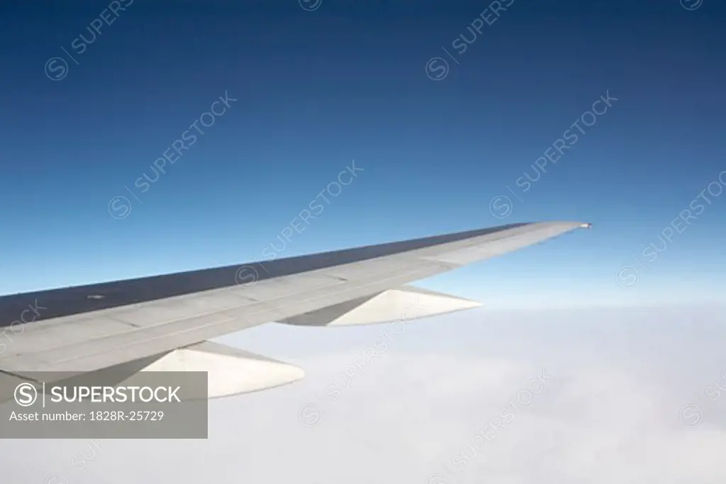 Airplane Wing   