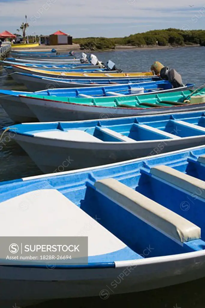 Row of Boats, Sea of Cortez, Loreto, Mexico   