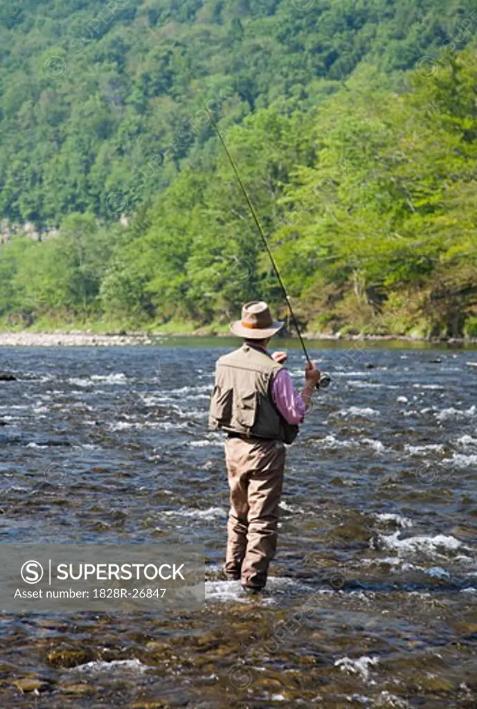 Man Fly Fishing, Beaverkill River, Catskill Park, New York, USA   