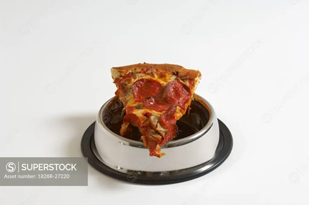 Slice of Pizza in Dog Bowl   