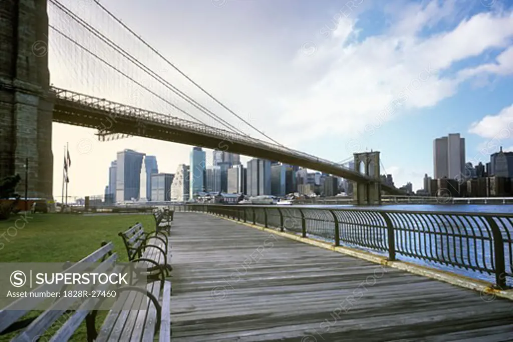 View of Brooklyn Bridge and Manhattan from City Park, New York City, New York, USA   