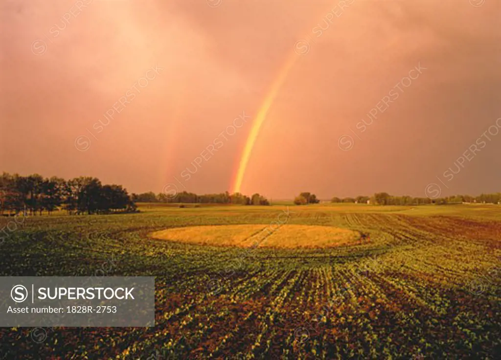 Rainbow over Field Near Sherwood Park Alberta, Canada   