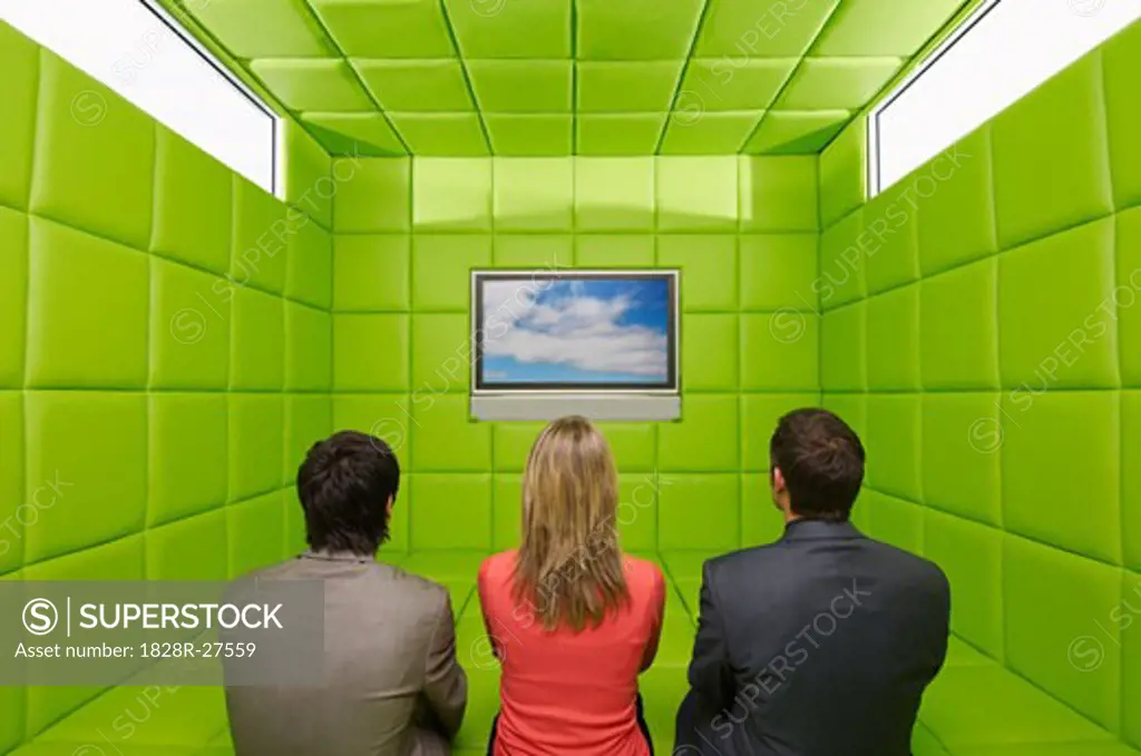 People Watching Television in Green Padded Room   
