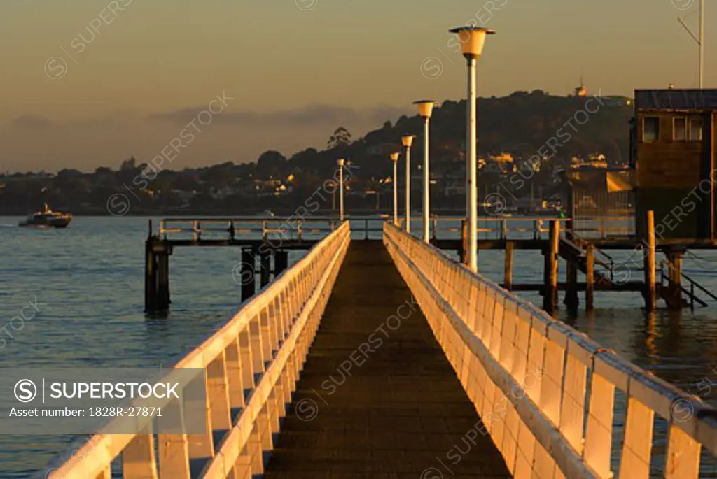 Boardwalk, Okahu Bay, Auckland, North Island, New Zealand   