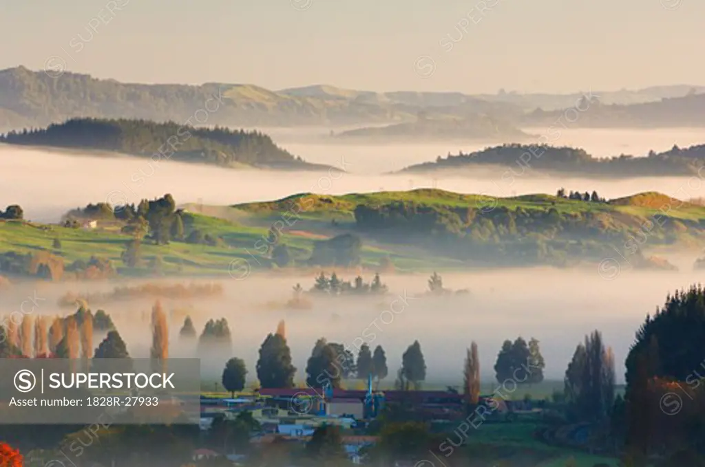 Farmland, Te Kuiti Township, North Island, New Zealand   