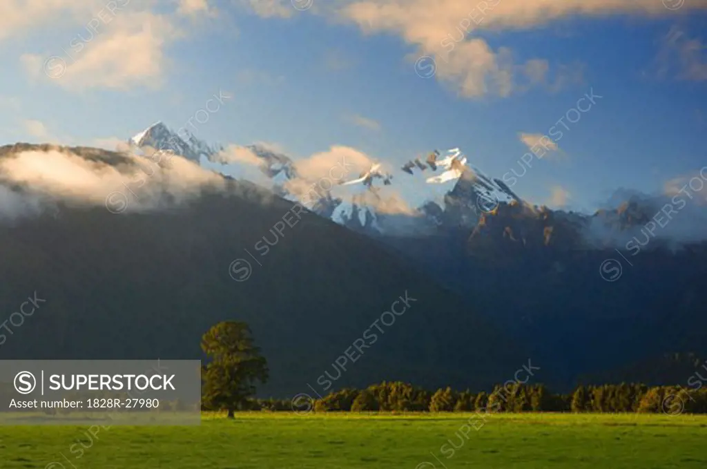 Mount Tasman and Mount Cook, Westland, South Island, New Zealand   