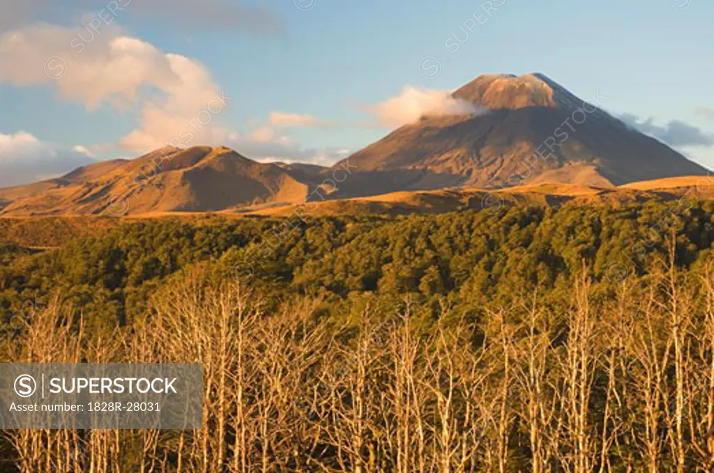 Mount Ngauruhoe, Tongariro National Park, North Island, New Zealand   