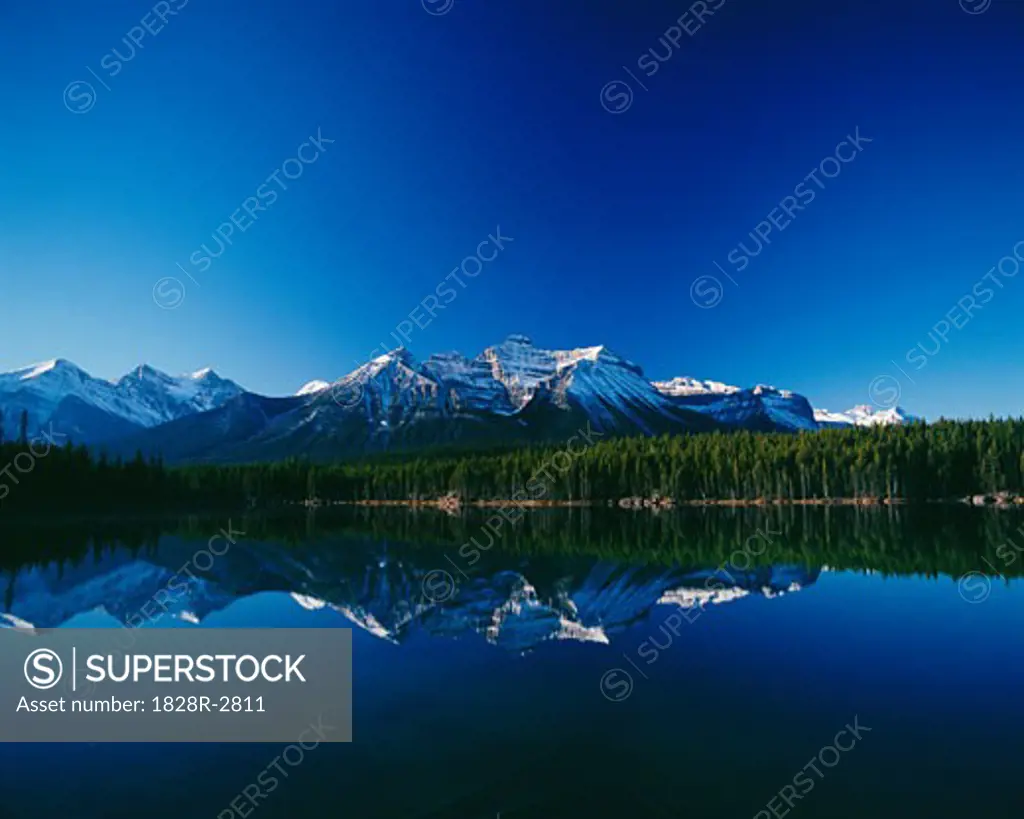 Herbert Lake, Jasper Parkway Banff National Park Alberta, Canada   