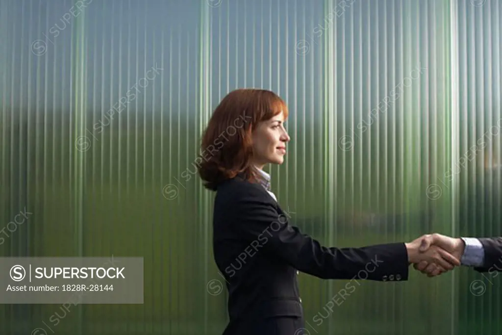 Businesswoman and Businessman Greeting   