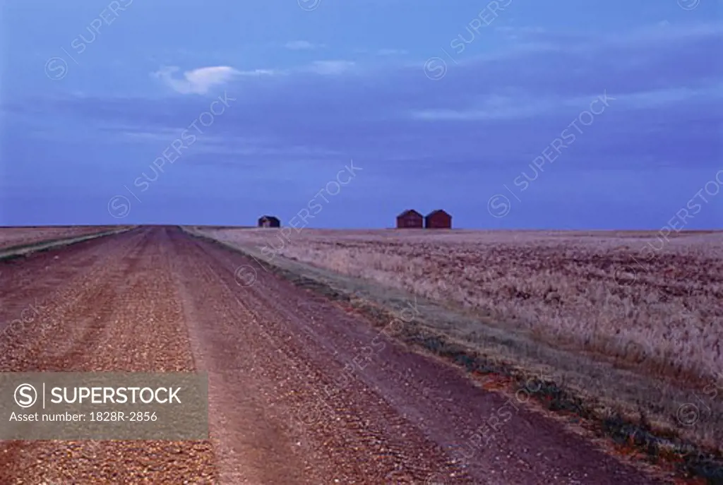 Rural Road and Sky Near Sceptre, Saskatchewan Canada   