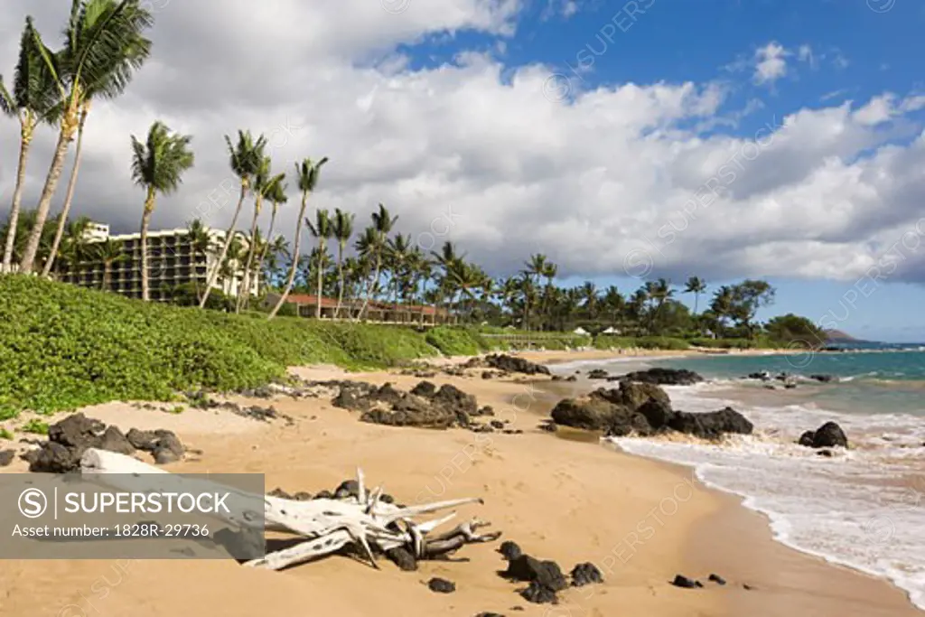 Beach at Wailea, Maui, Hawaii, USA   