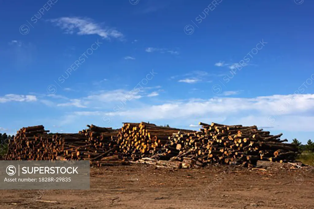 Logs, Ontario, Canada   