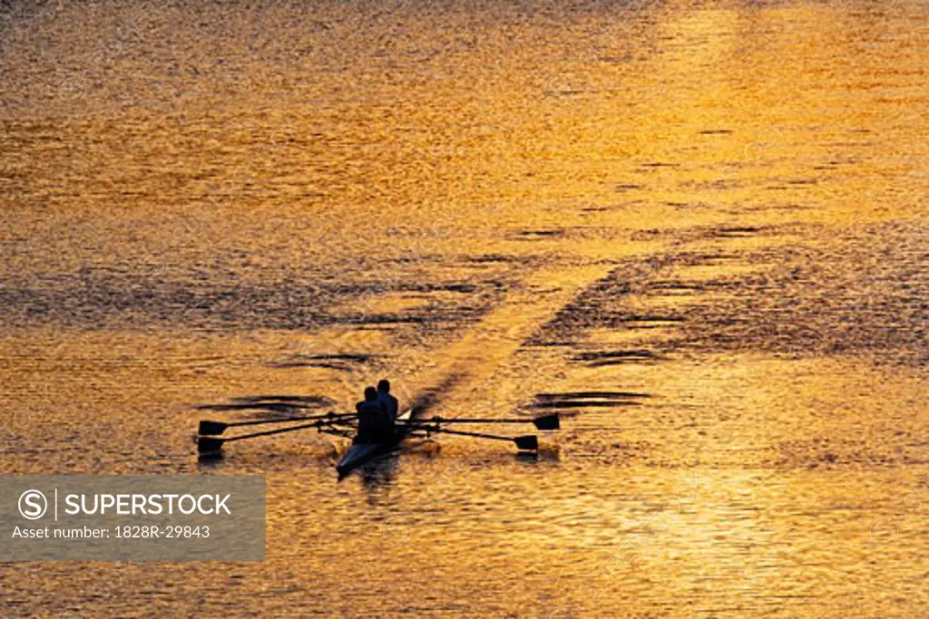 Sculling at Sunset   