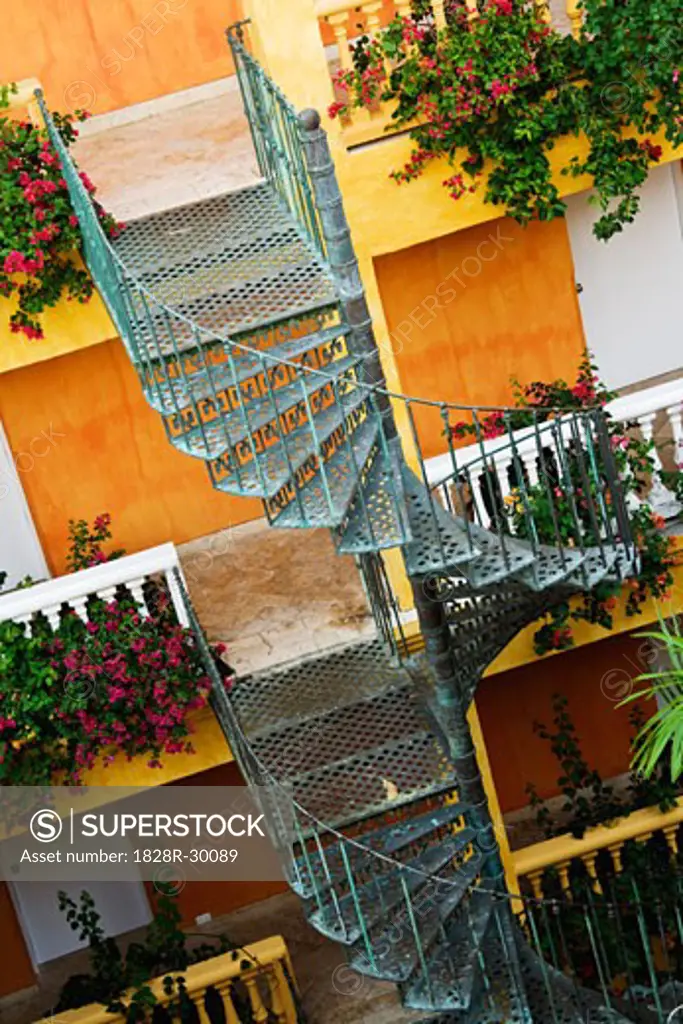 Spiral Staircase   