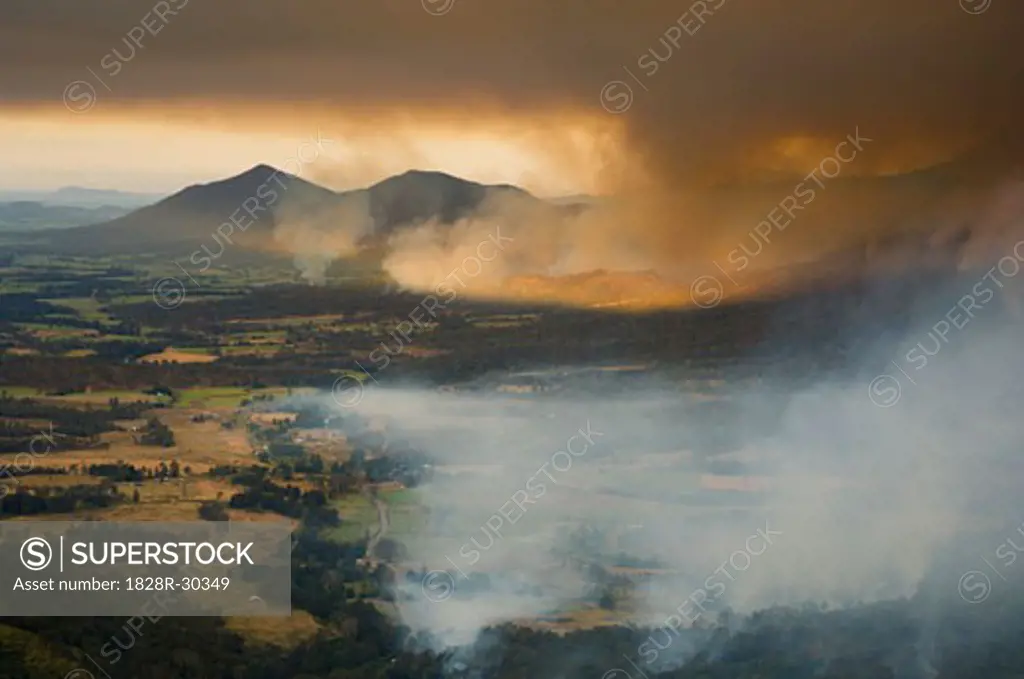 Bushfire, Finch Hatton, Pioneer Valley, Queensland, Australia   