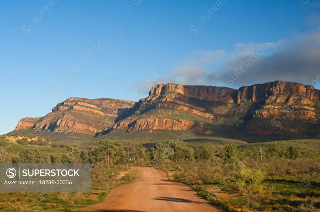 Dirt Road and Elder Range, Flinders Ranges National Park, South Australia, Australia   