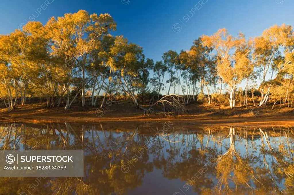 Billabong in West MacDonnel National Park, Northern Territory Australia   