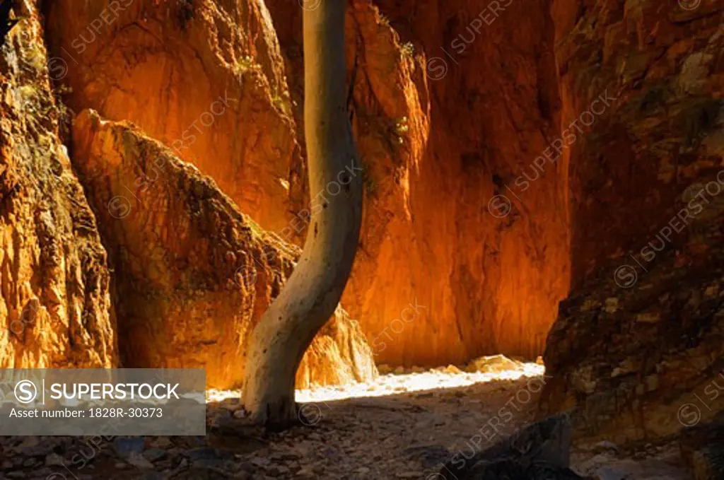 Standley Chasm, West MacDonnell National Park, Northern Territory Australia   