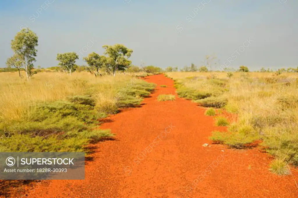 Australian Outback, Northern Territory, Australia   