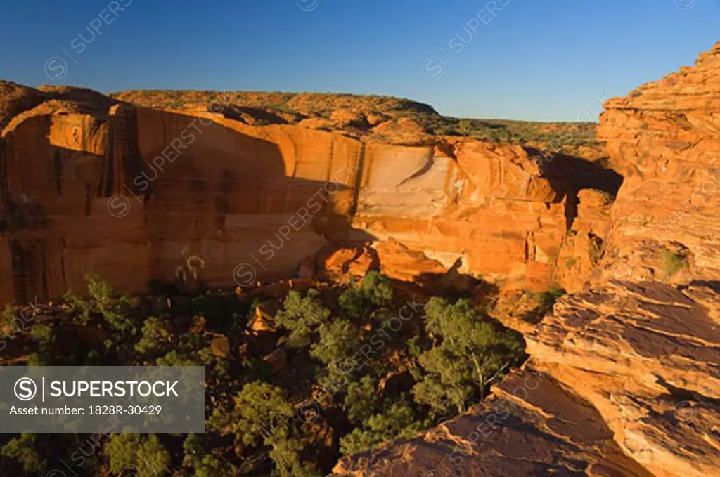 Kings Canyon, Watarrka National Park, Northern Territory, Australia   