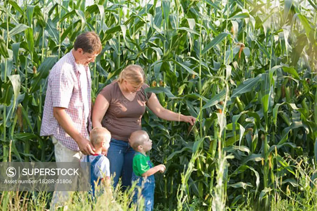 Family in Corn Field   