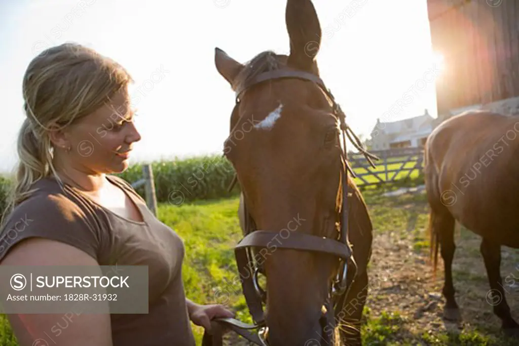 Woman Taking Care of Horse   