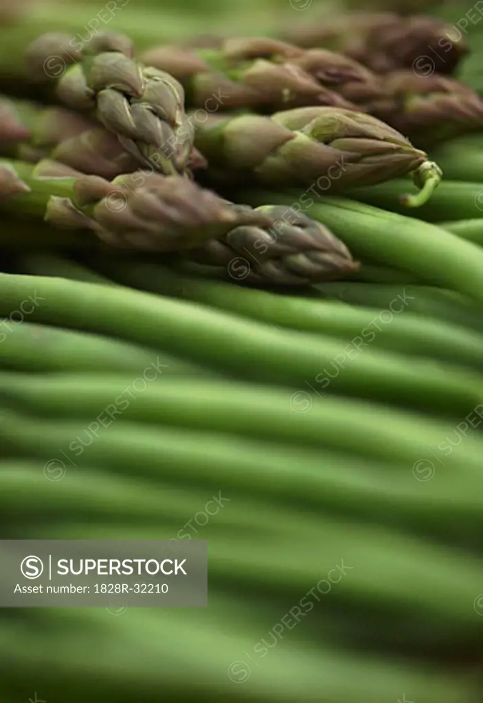 Close-up of Asparagus   