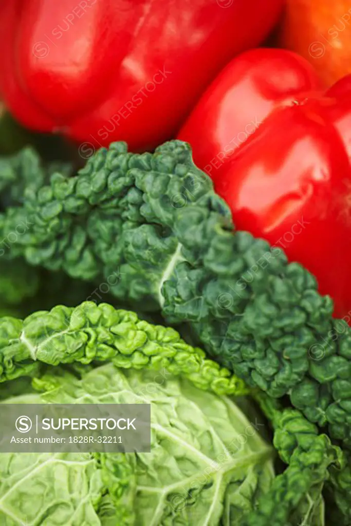 Close-up of Vegetables   