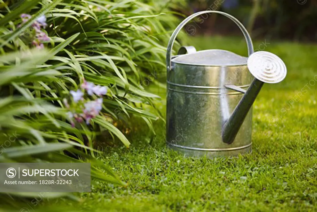 Watering Can   
