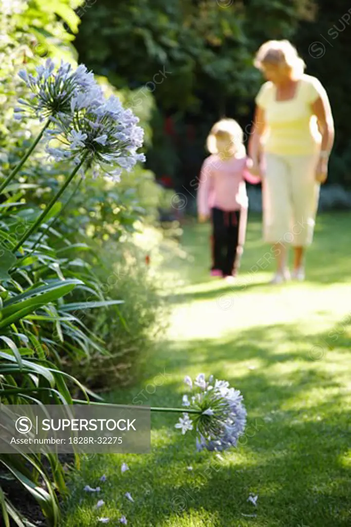 Grandmother and Granddaughter Walking in Garden   