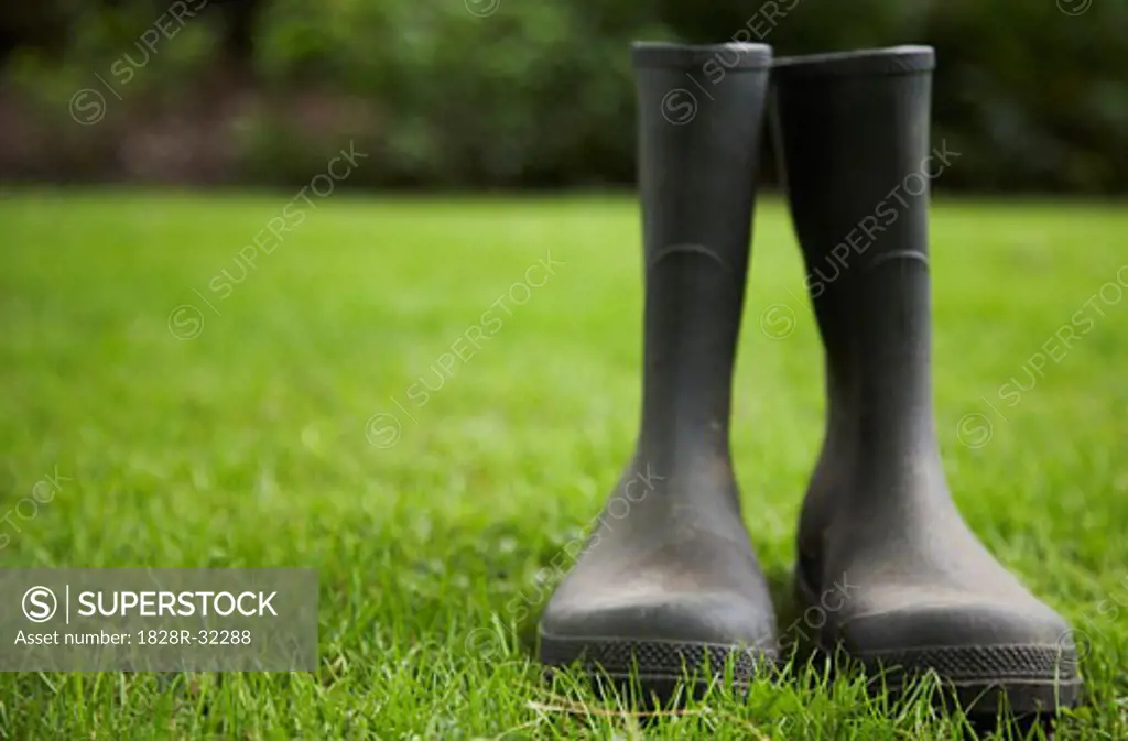 Rubber Boots on Lawn   