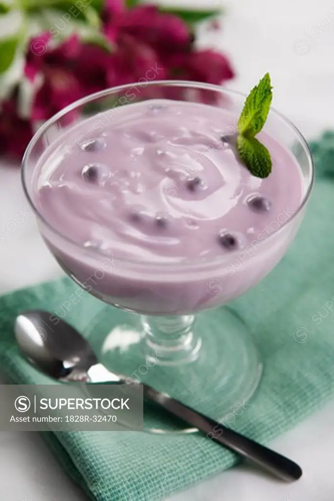 Blueberry Yogurt   