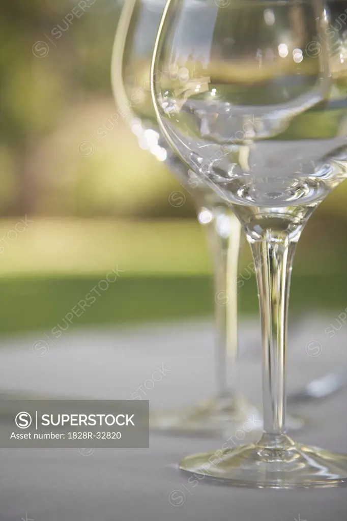 Wine Glasses   