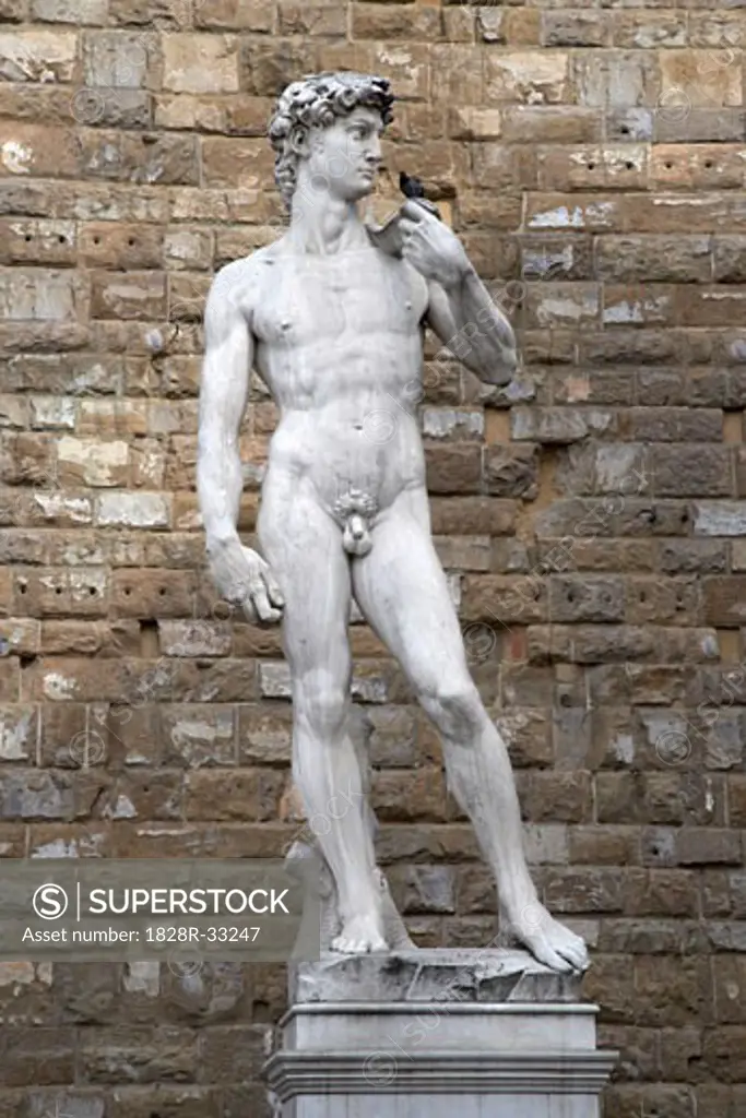 Michelangelo's David, Piazza della Signoria, Florence, Italy   