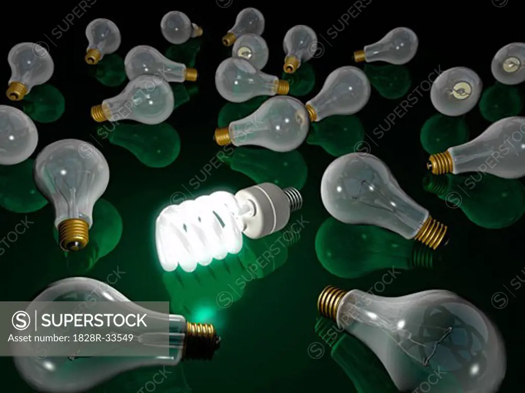 Energy Efficient Lightbulb   