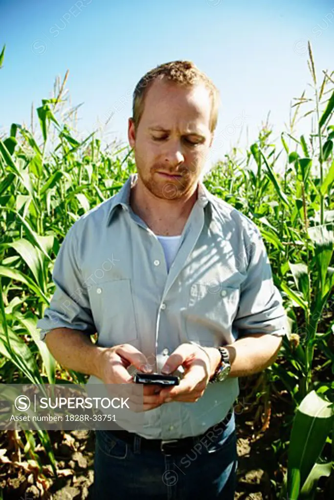 Farmer in Cornfield with Electronic Organizer   