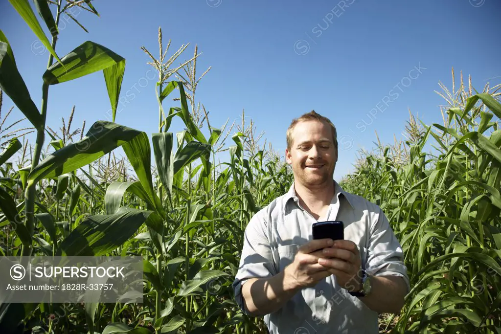 Man in Cornfield with Electronic Organizer   