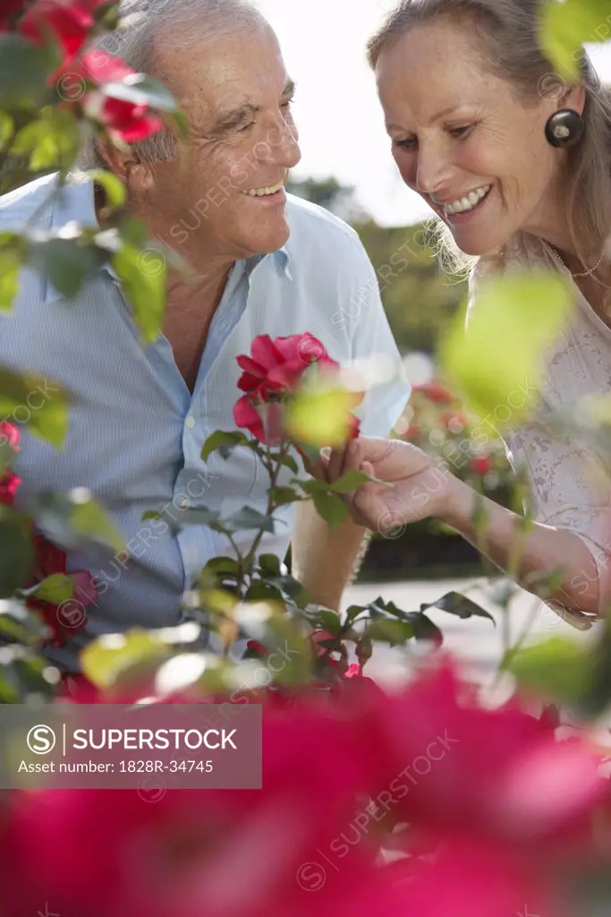 Couple Looking at Flowers   