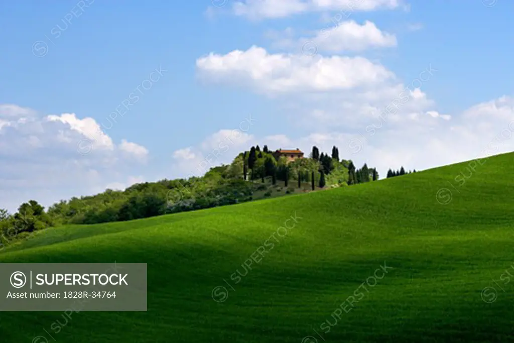 Hillside near Asciano, Tuscany, Italy   