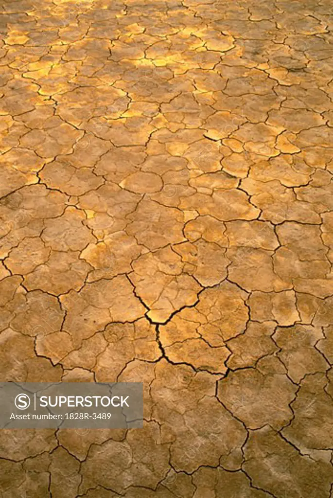 Close-Up of Cracked Earth in Desert, Nevada, USA   